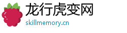龙行虎变网